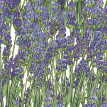 Purple Lavender Floral Print Italian Paper ~ Tassotti